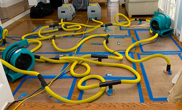 Professional Basement Flood Cleanup technician working in Enterprise, AL